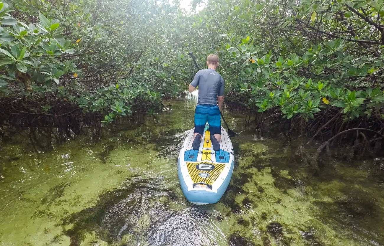 Tim Paddle Boarding