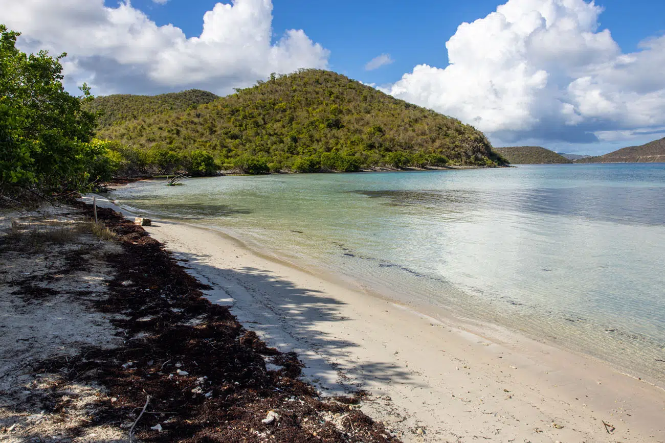 Brown Bay Beach