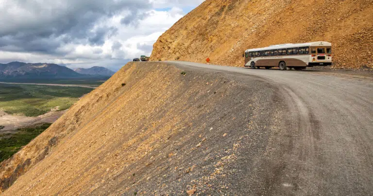 Denali Road Closure