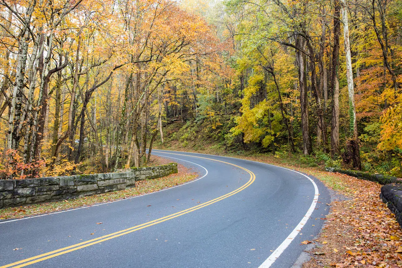 Great Smoky Mountains November