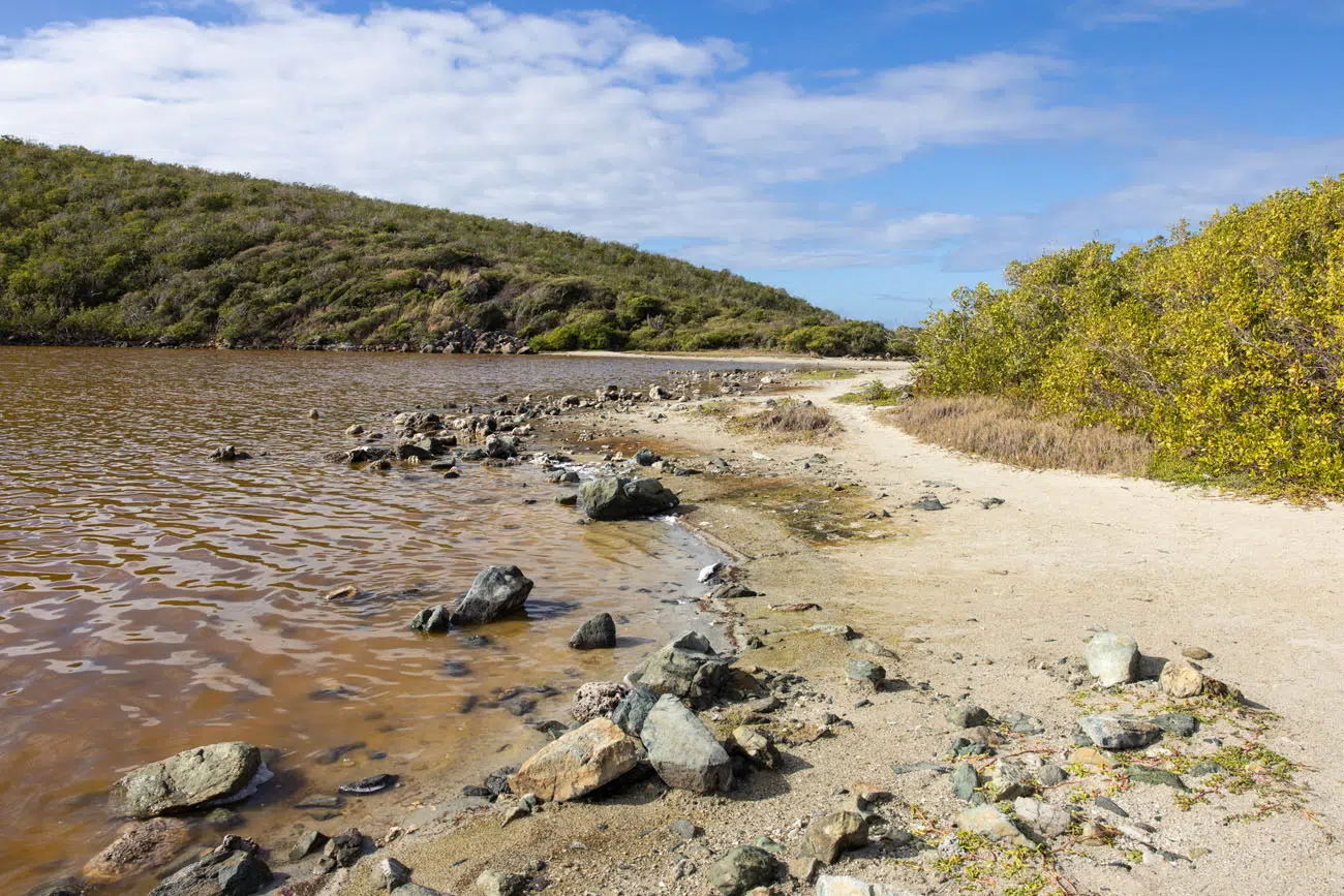 Salt Pond best things to do in Virgin Islands National Park