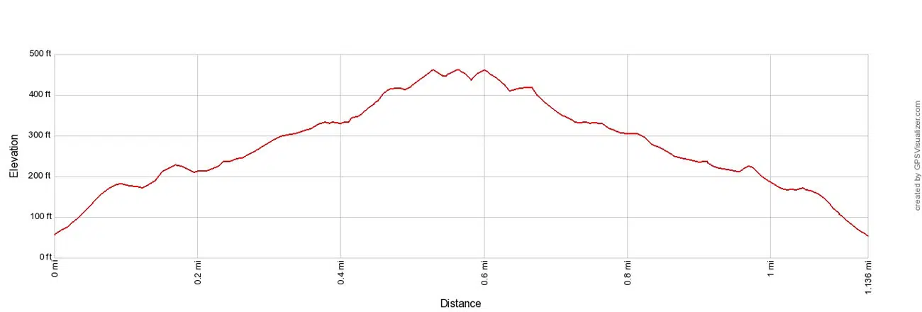 America Hill Ruins Elevation Profile