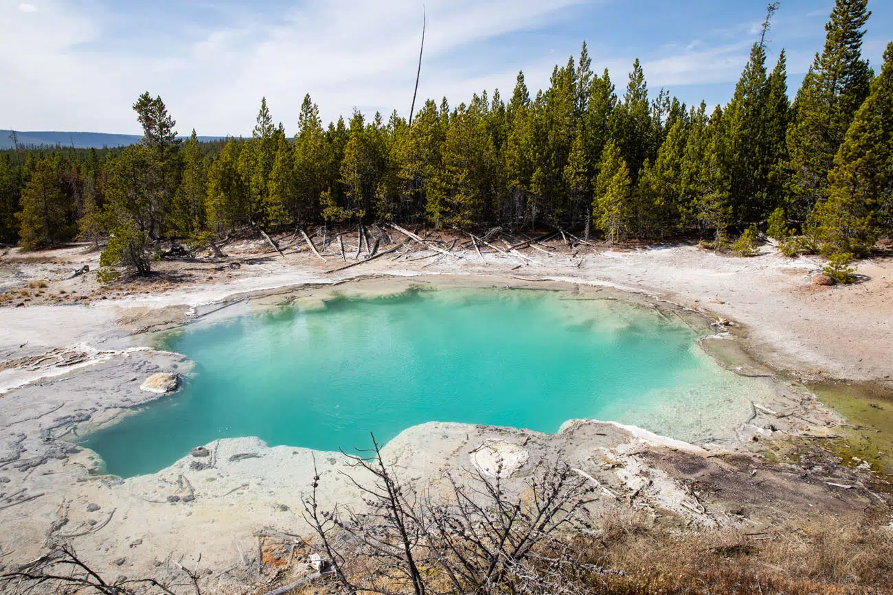 Emerald Spring Norris Geyser Basin