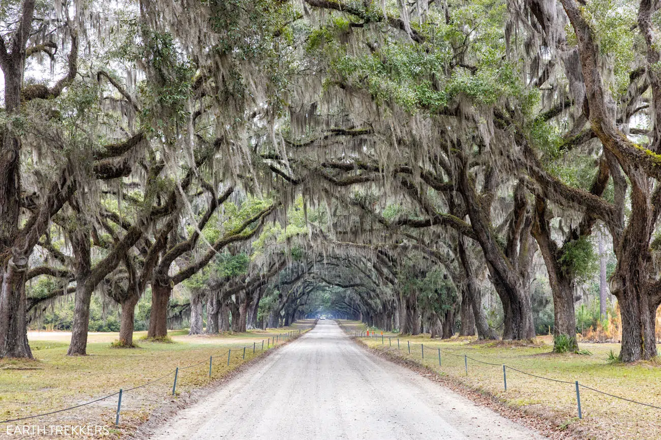 Wormsloe Savannah Georgia