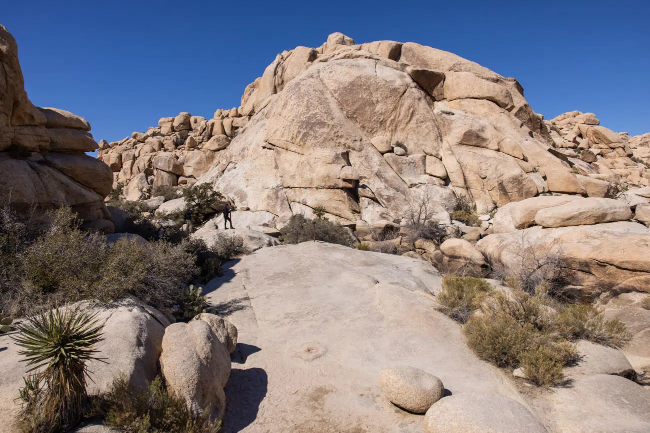 Barker Dam Trail