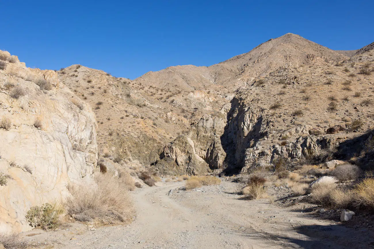 Berdoo Canyon best things to do in Joshua Tree