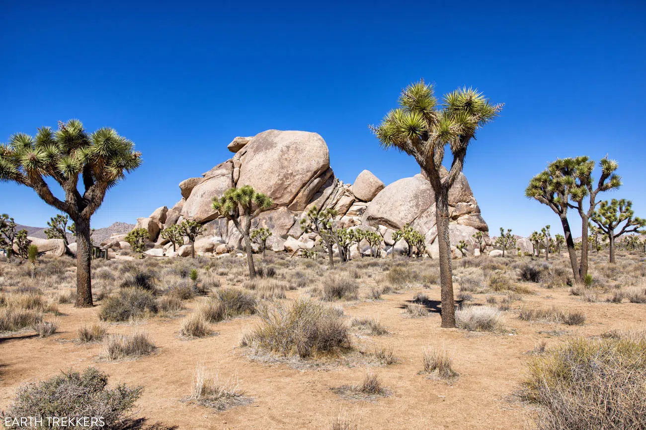 Cap Rock Nature Trail