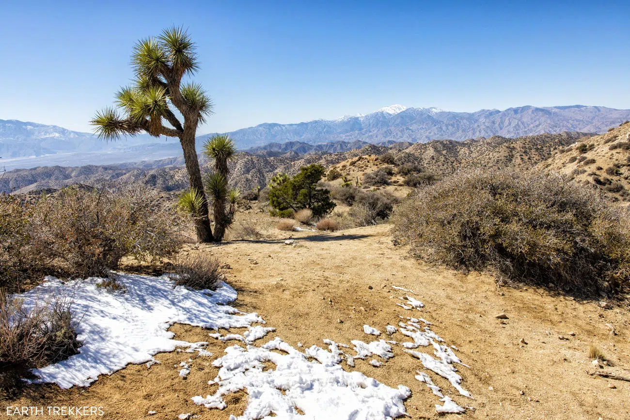 Eureka Peak Joshua Tree