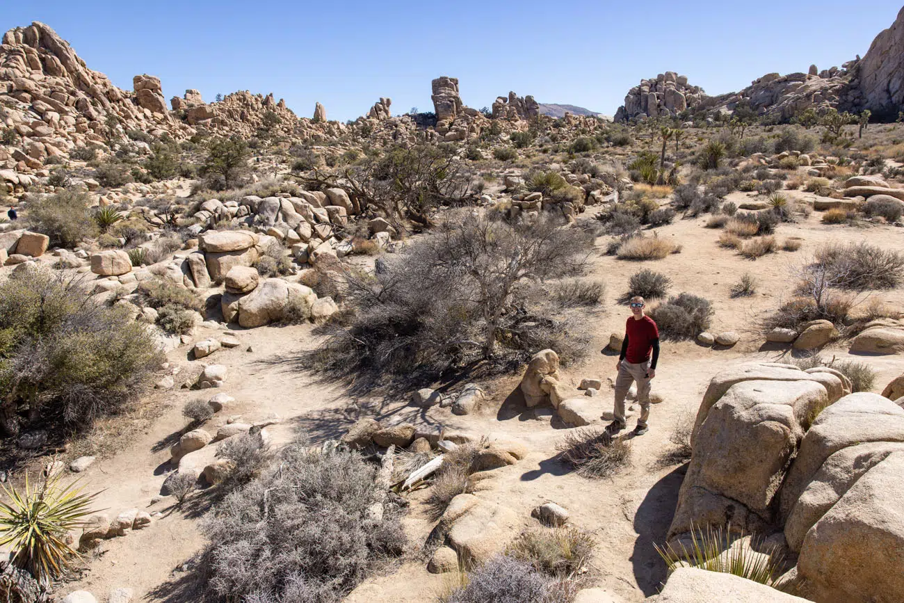 Hidden Valley Joshua Tree