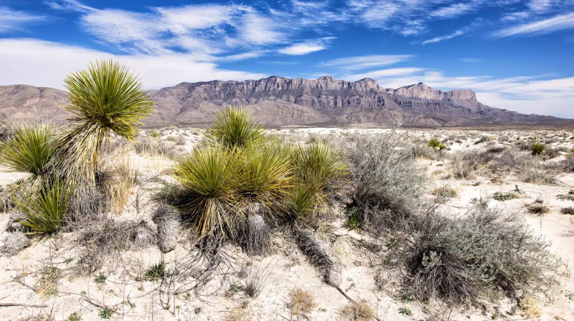 How to Visit Guadalupe Mountains