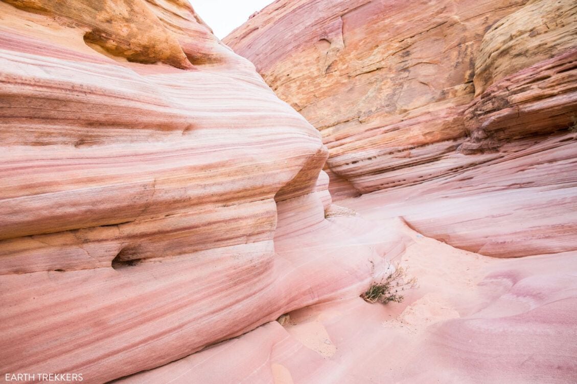 10 Amazing Slot Canyons To Explore In The American Southwest Earth Trekkers 6252