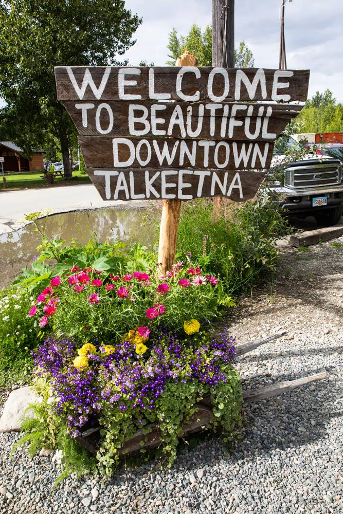 Talkeetna Denali Flightseeing Tour