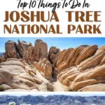 Things to Do Joshua Tree National Park