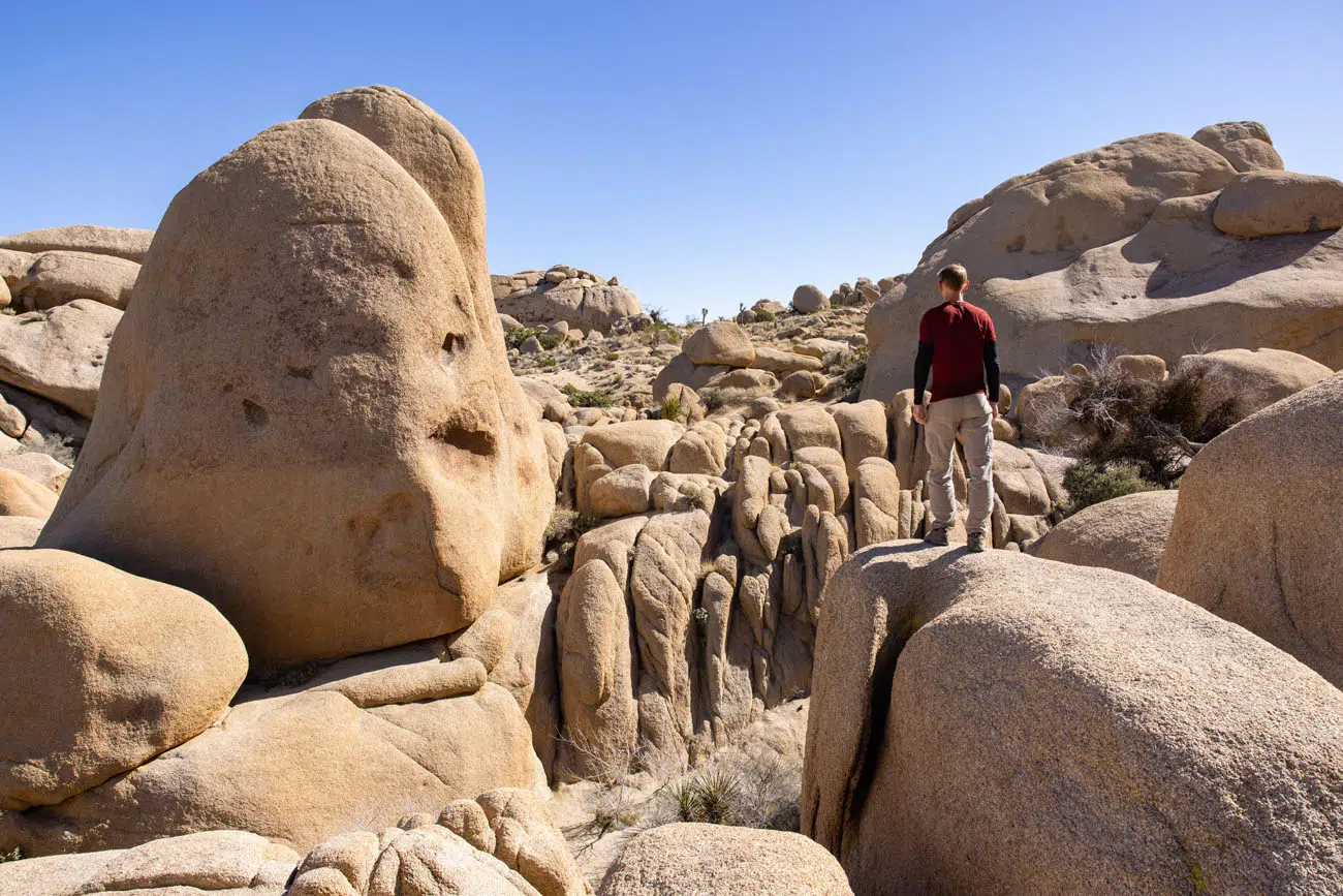 Tim in Joshua Tree NP