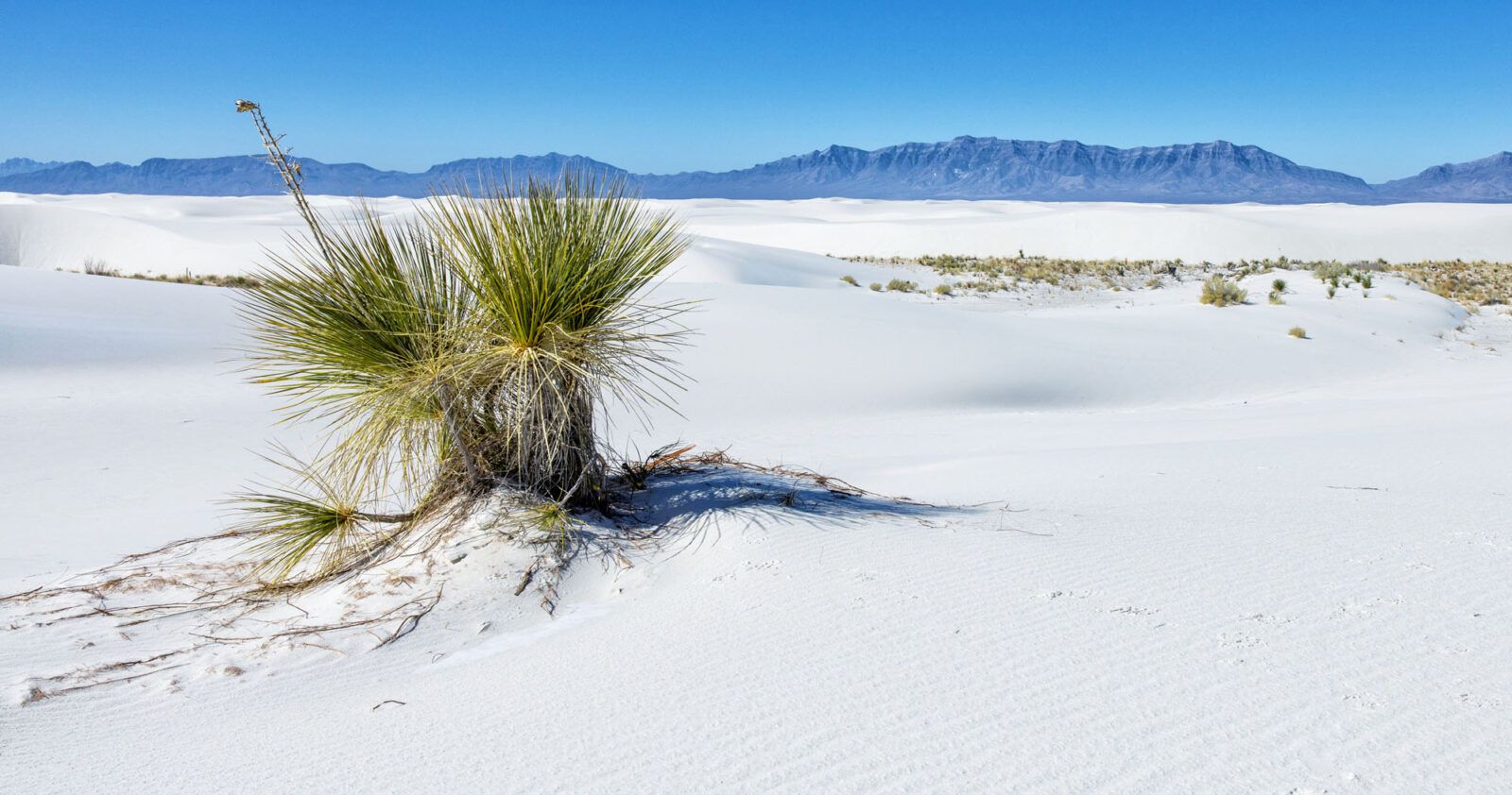 White Sands National Park