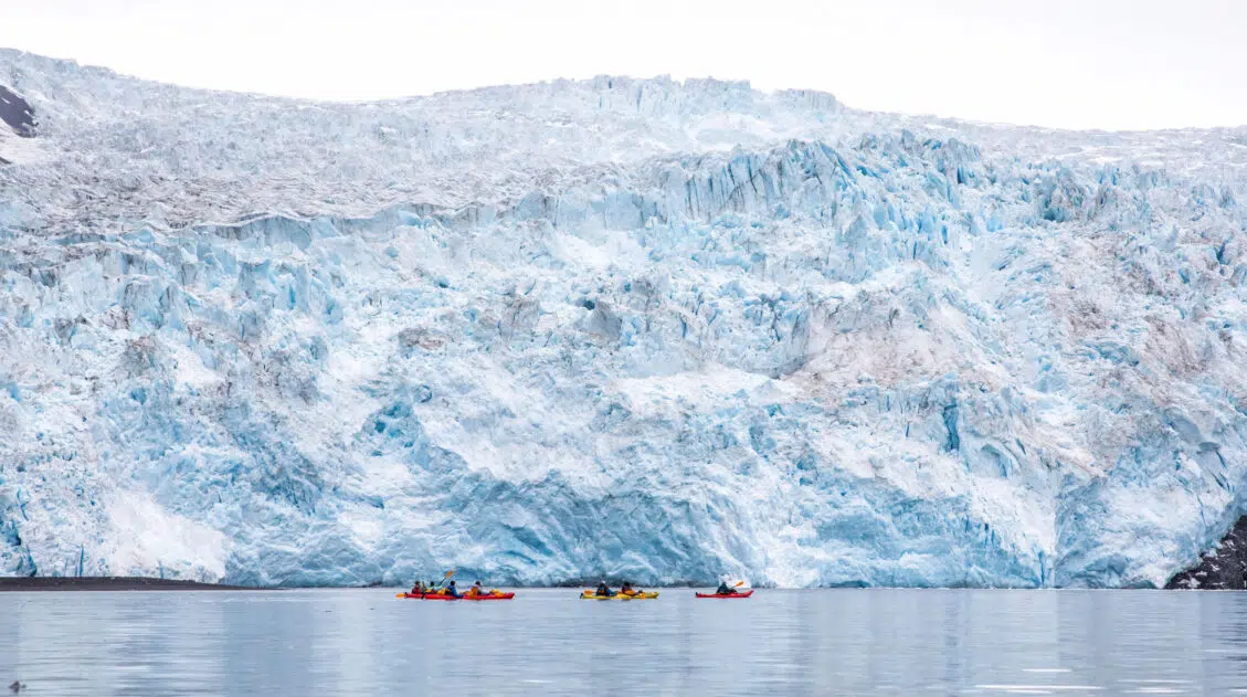 Aialik Glacier Kayaking