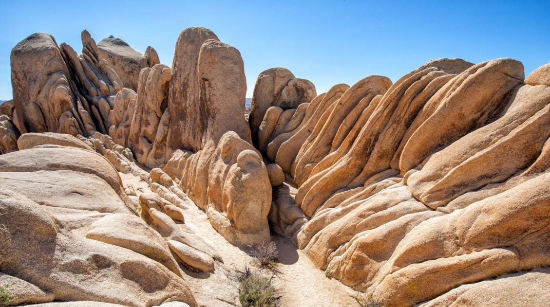 Joshua Tree National Park