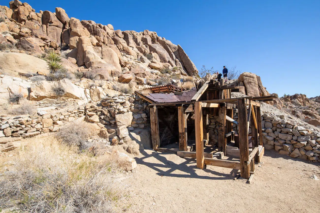 Mastodon Mine best hikes in Joshua Tree