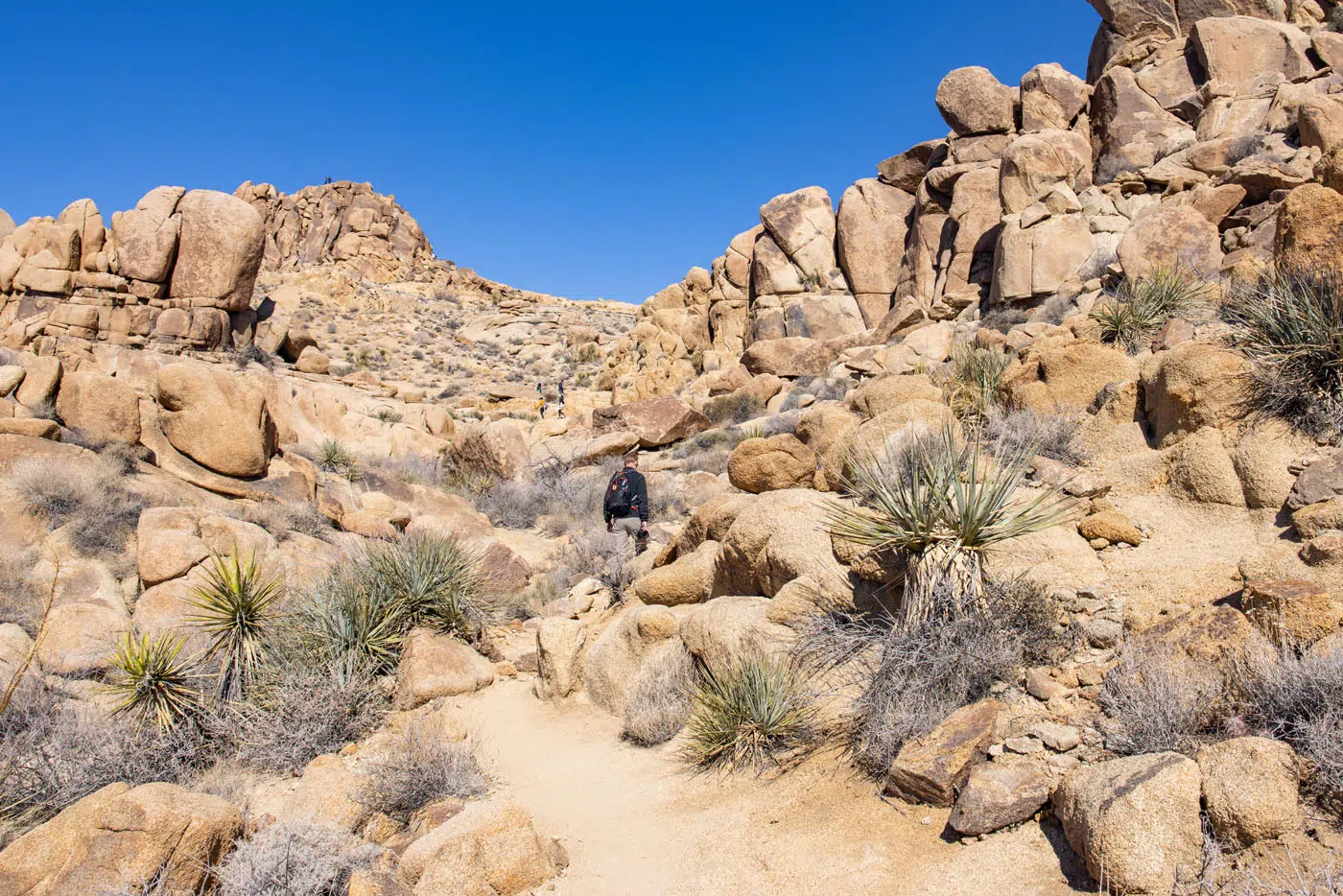 Mastodon Peak Loop Trail