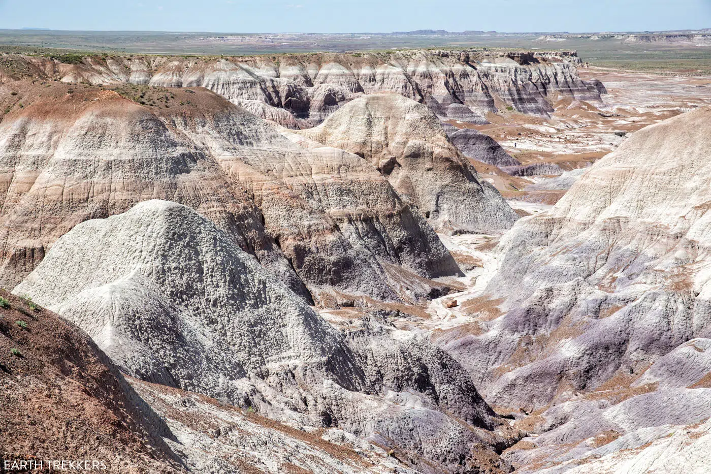 Petrified Forest Hike