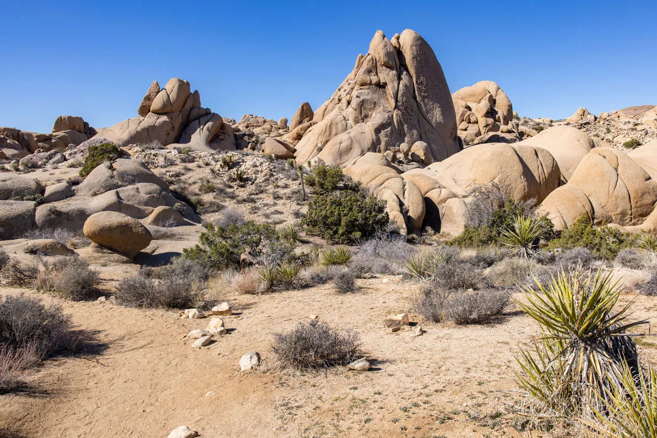 Skull Rock Trail