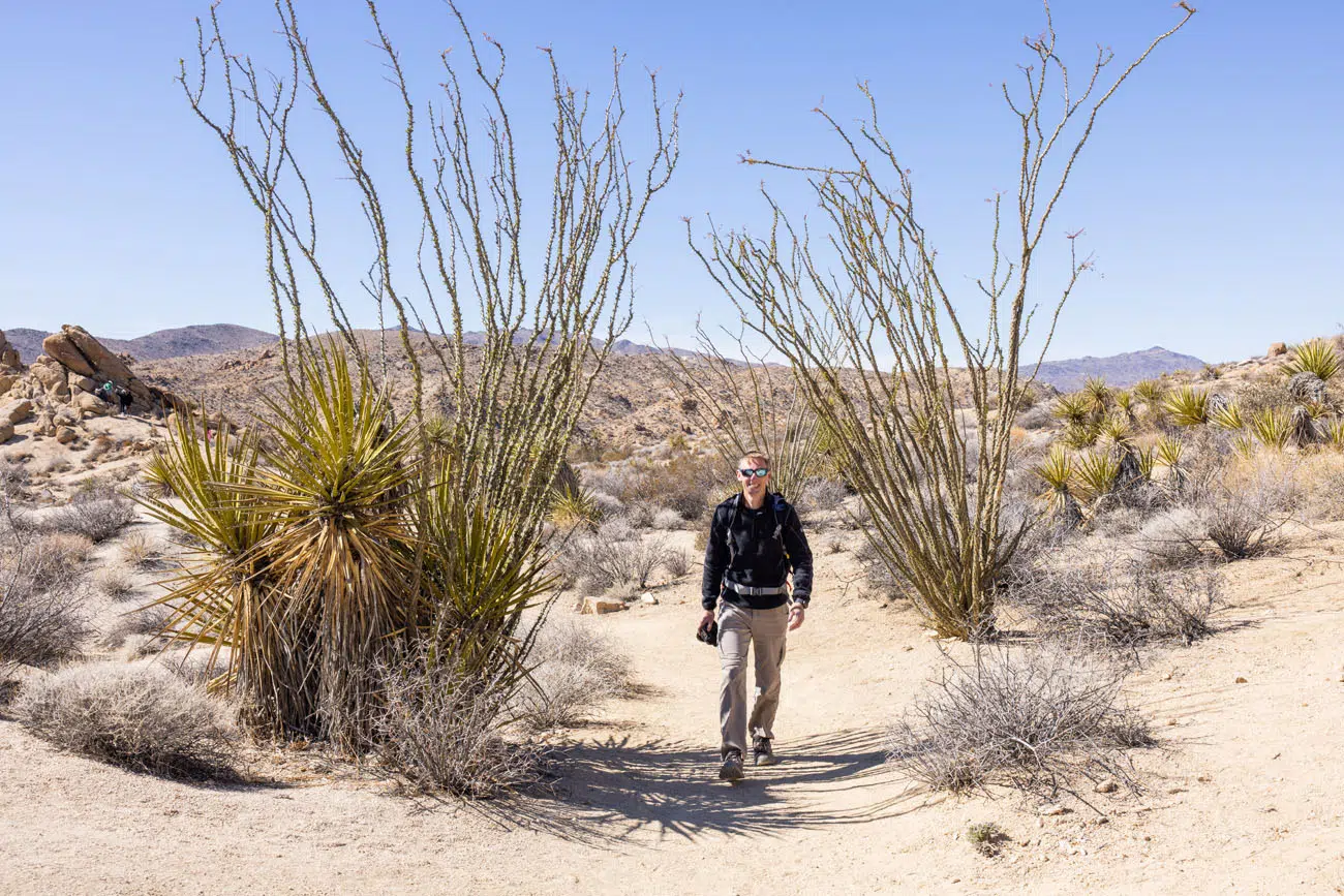 Tim in Joshua Tree