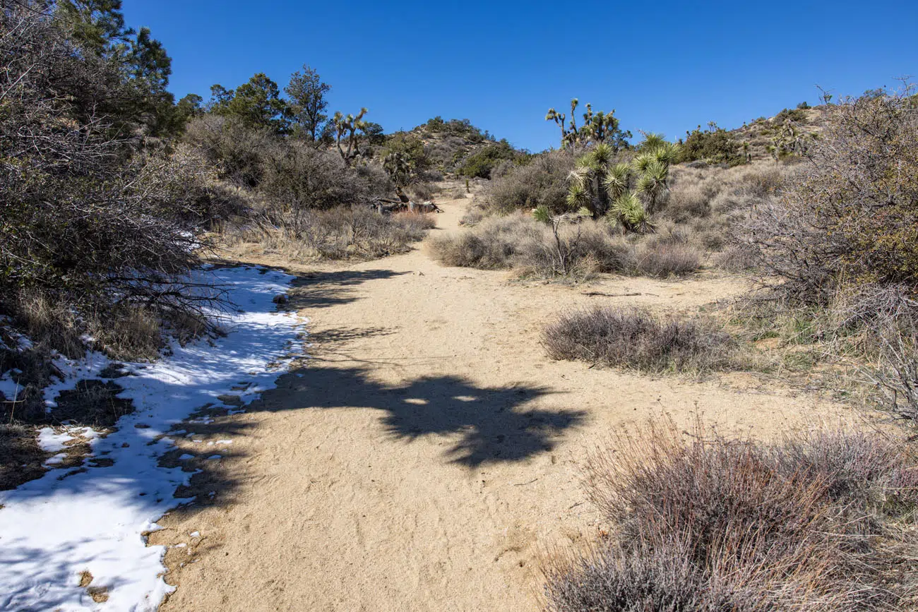 Trail to Warren Peak best hikes in Joshua Tree