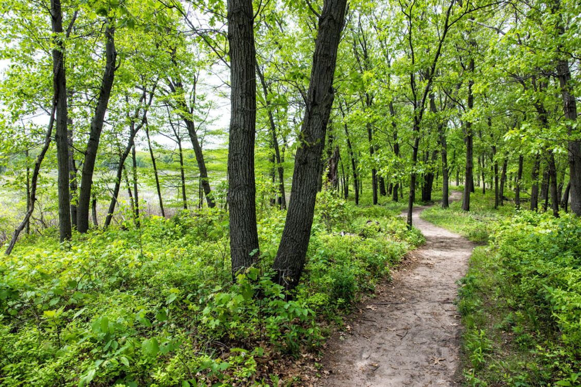 Top 10 Things to Do in Indiana Dunes National & State Parks – Earth ...