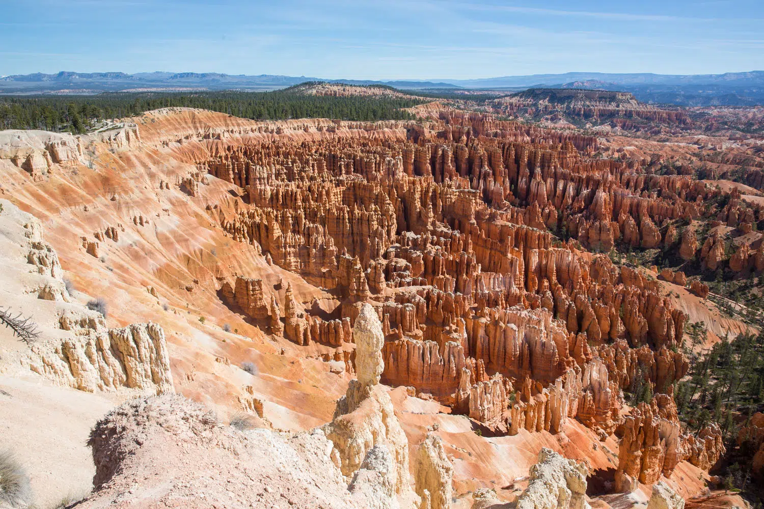 Hoodoos Bryce Canyon