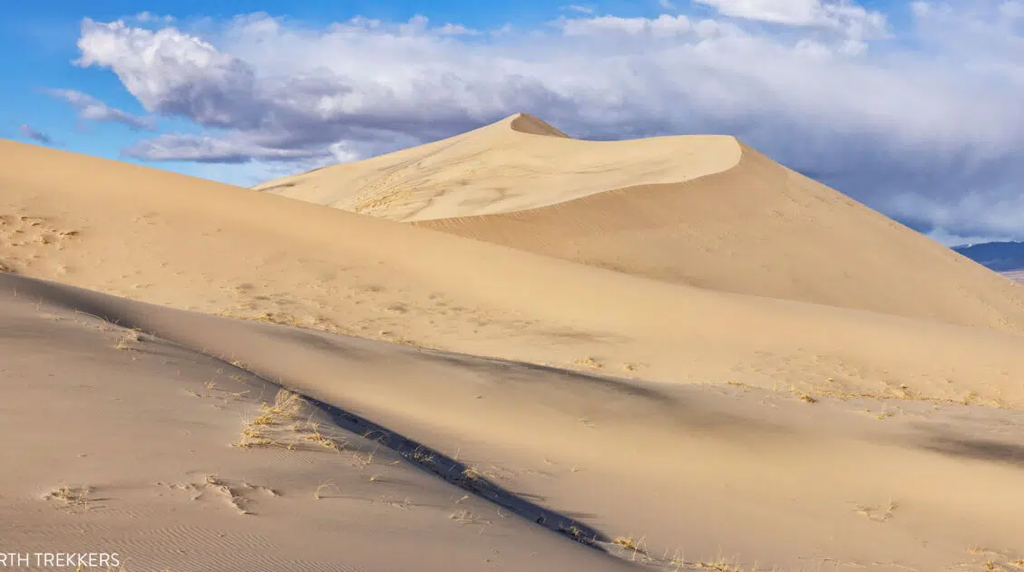 Mojave National Preserve