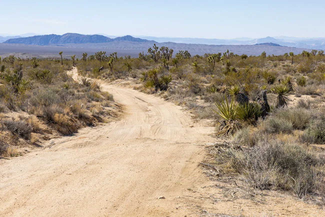 Mojave Road