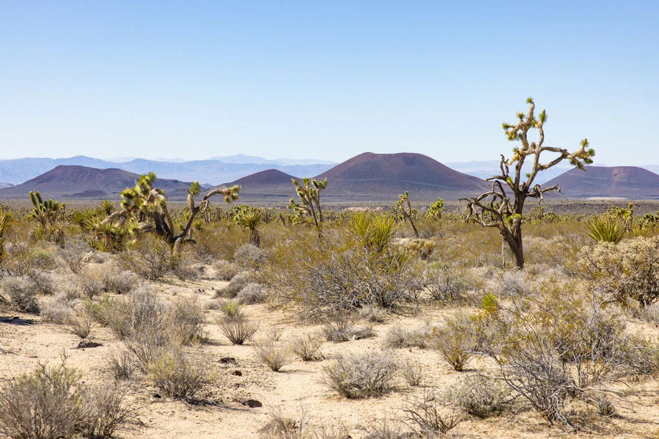 Old Mojave Road View