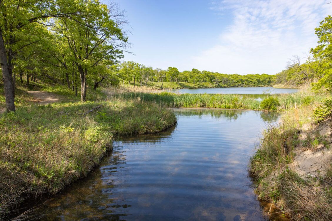 Paul H. Douglas Trail: One of the Best Hikes in Indiana Dunes National ...