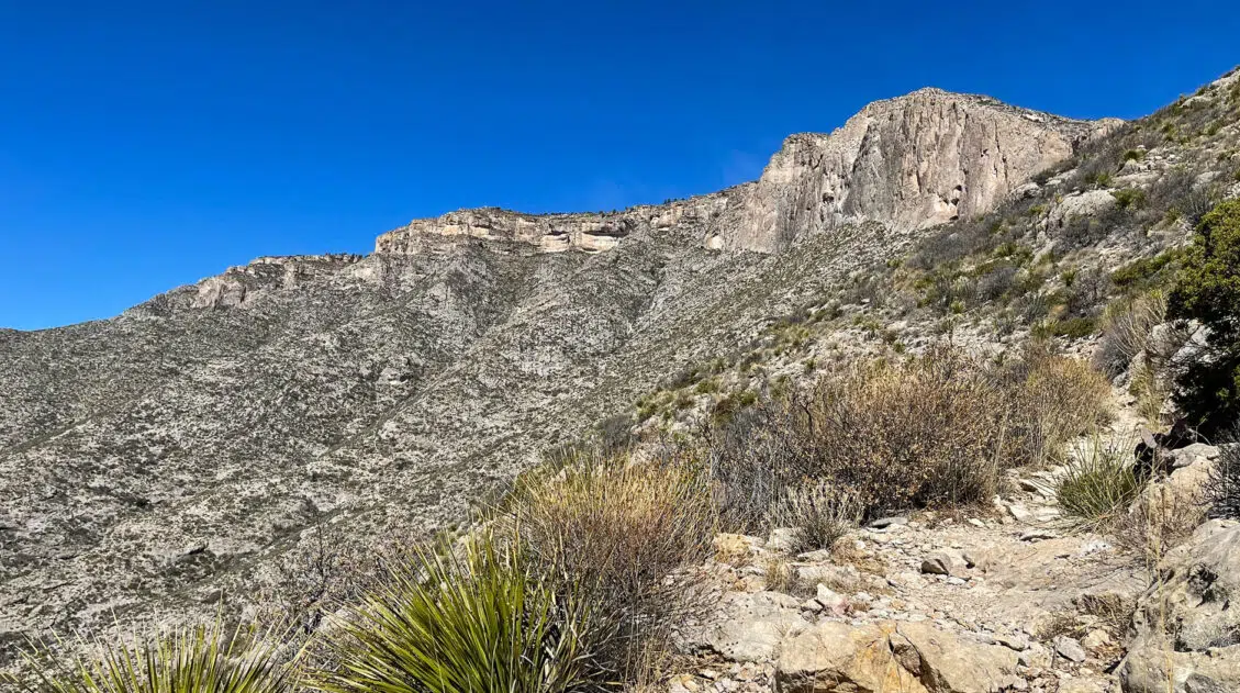 Permian Reef Trail