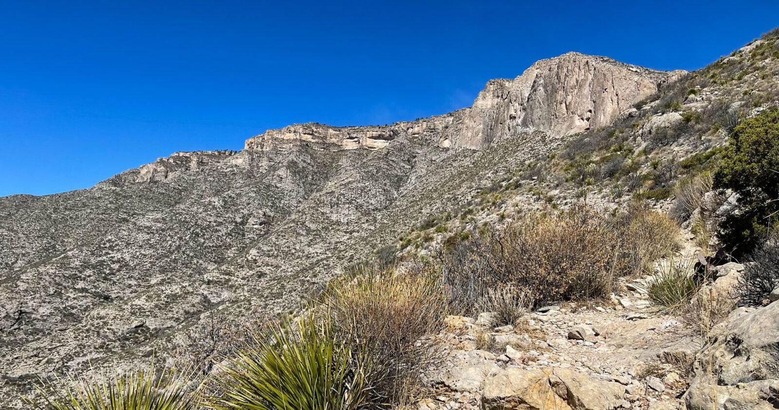 Permian Reef Trail