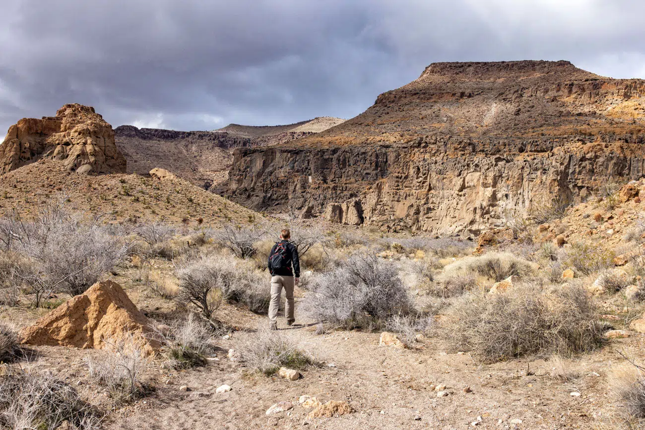 Rings Trail Mojave