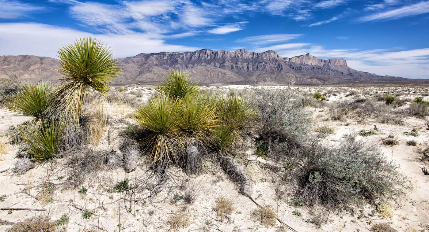 Salt Basin Dunes | Texas New Mexico road trip itinerary