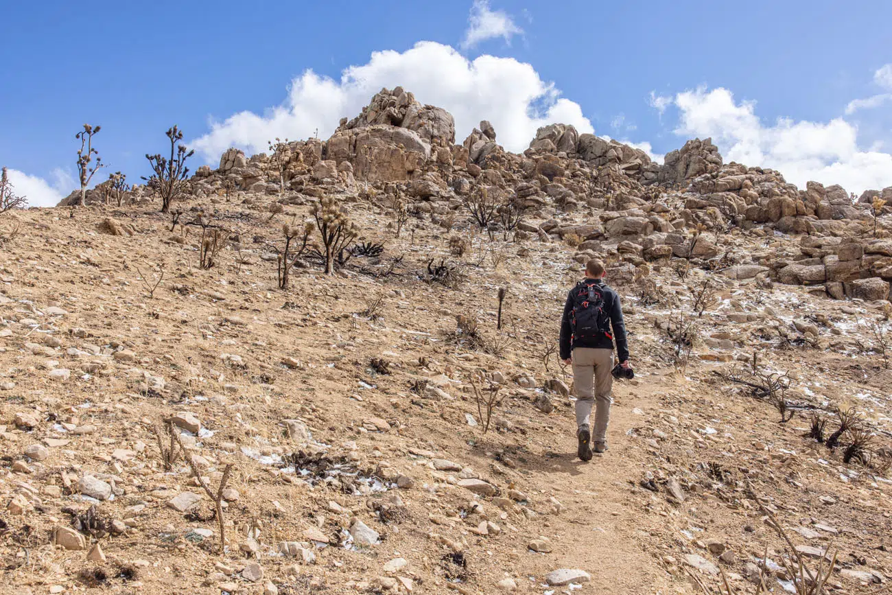 Teutonia Peak Photo