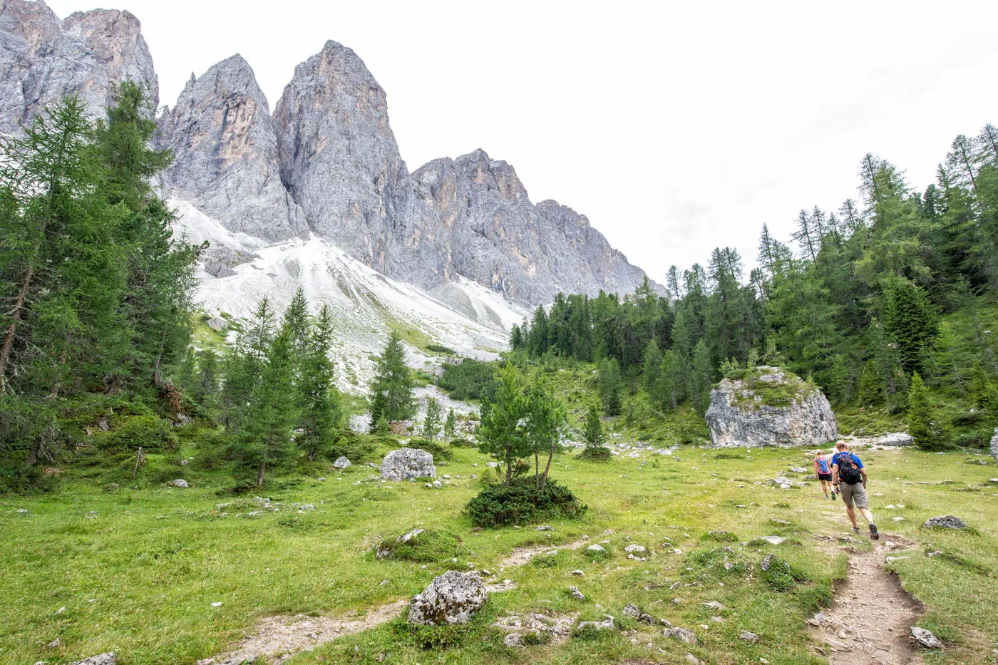 Adolf Munkel Weg Trail