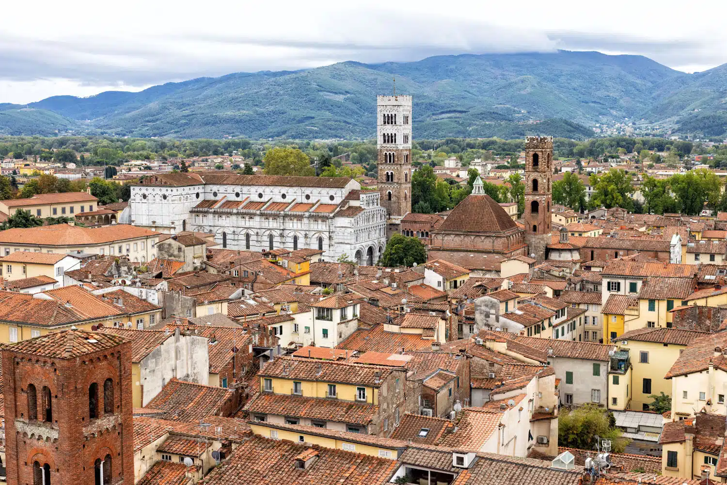 Lucca Cathedral Photo