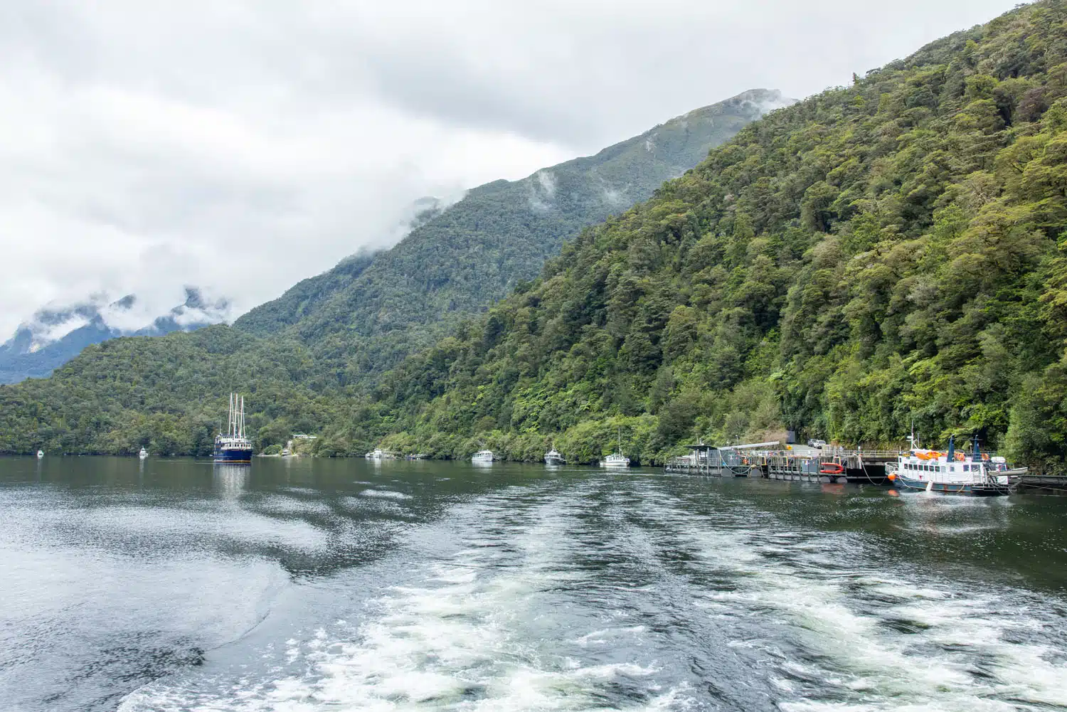 Doubtful Sound Dock