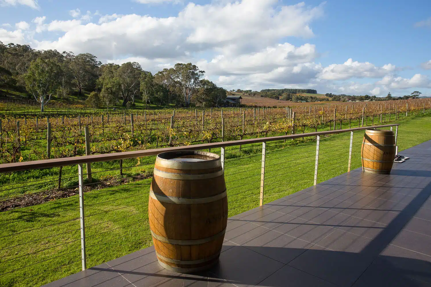 Angove Vineyard