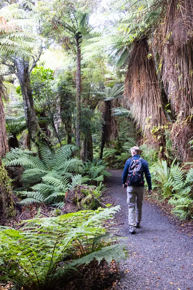 Cathedral Caves Walk