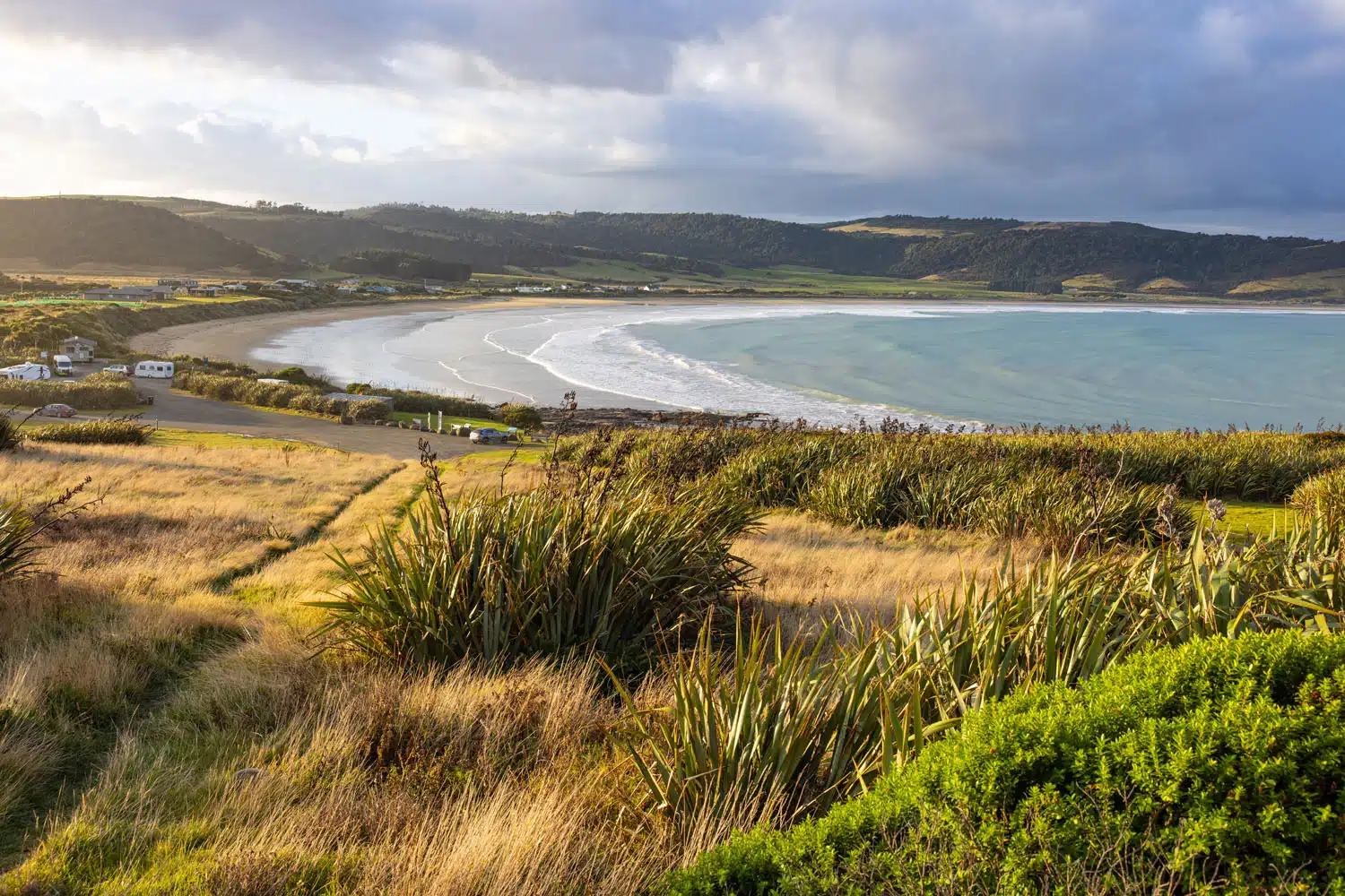 Curio Bay New Zealand