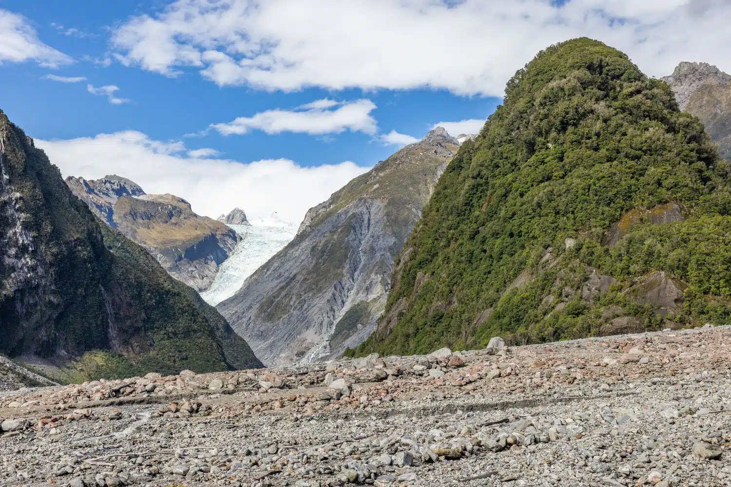 Fox Glacier View