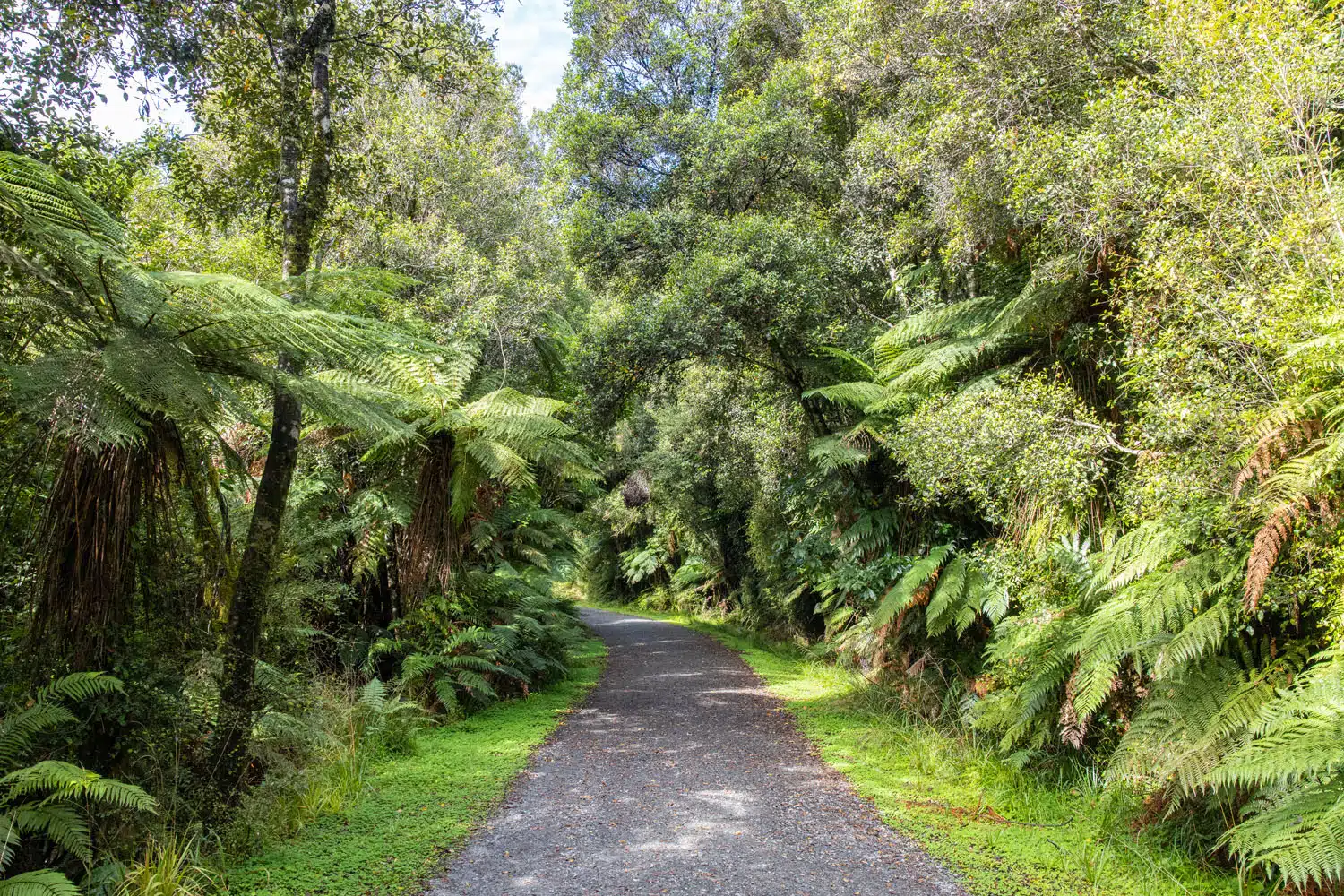 Fox Glacier Walk | Things to do in Franz Josef