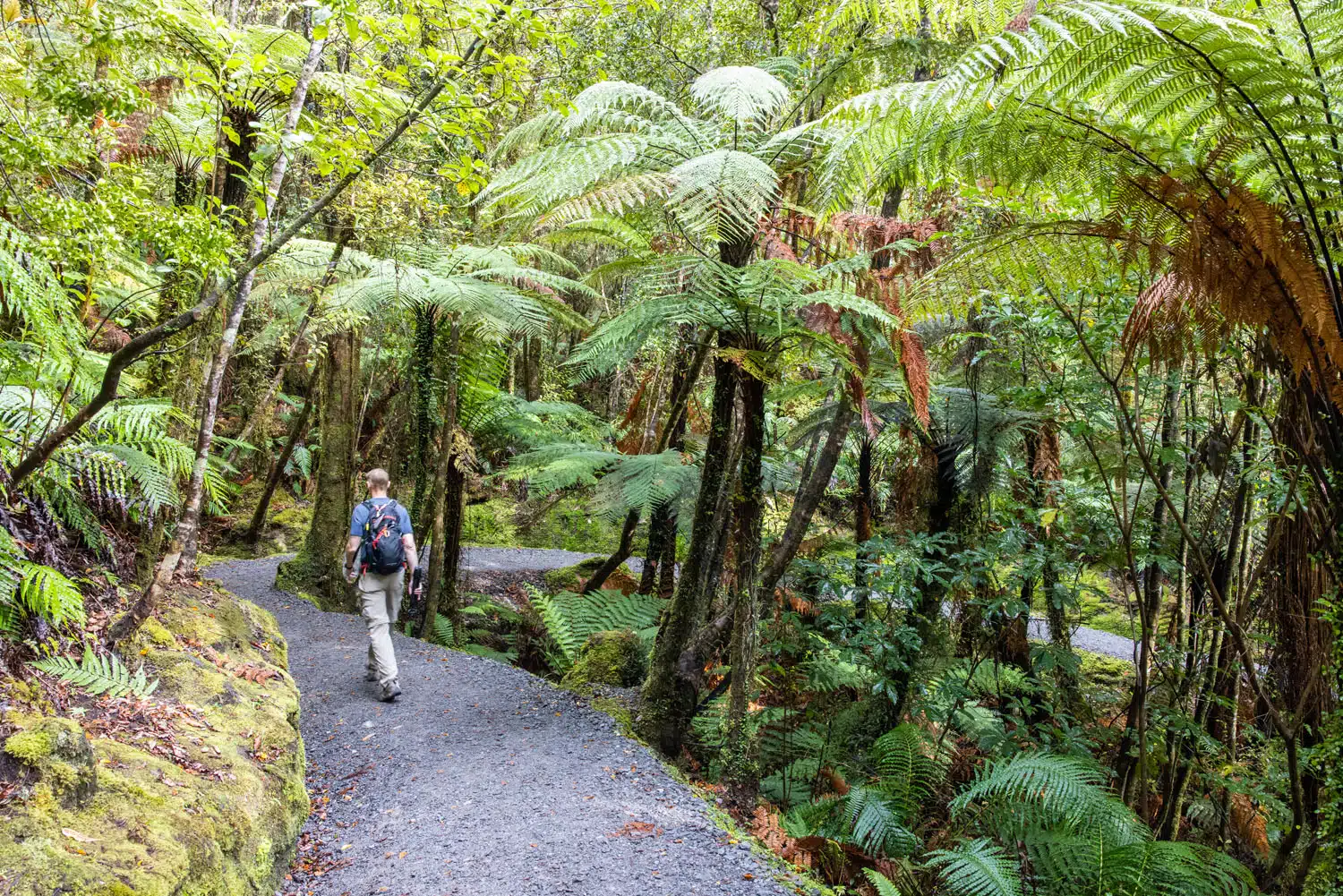 Lake Matheson Hike