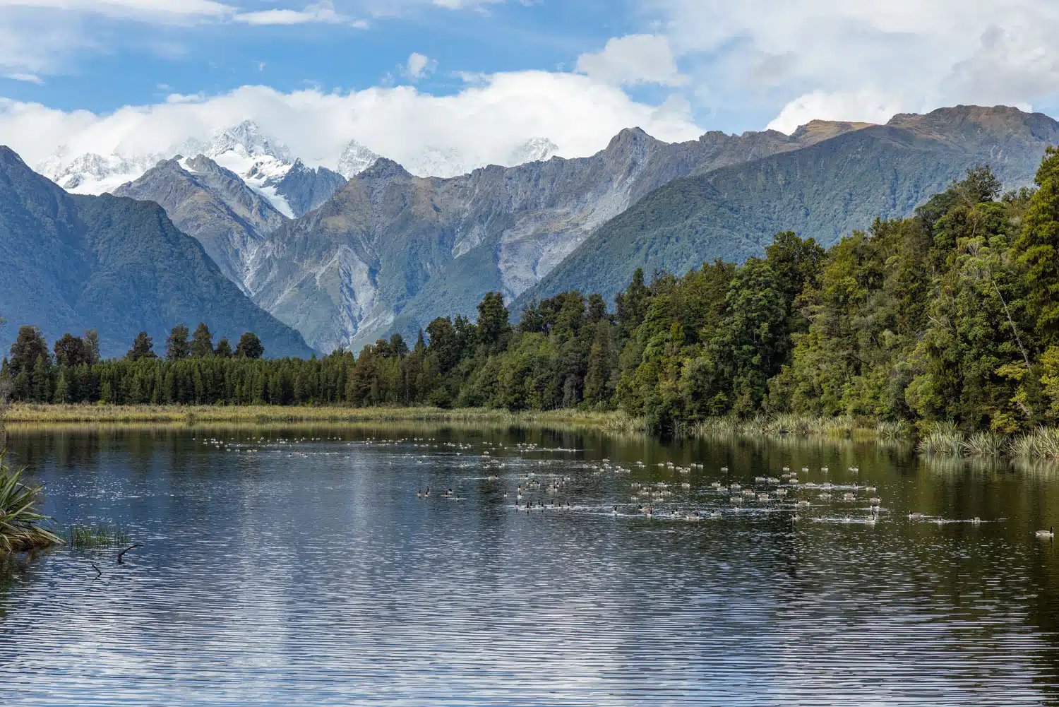 Lake Matheson Island