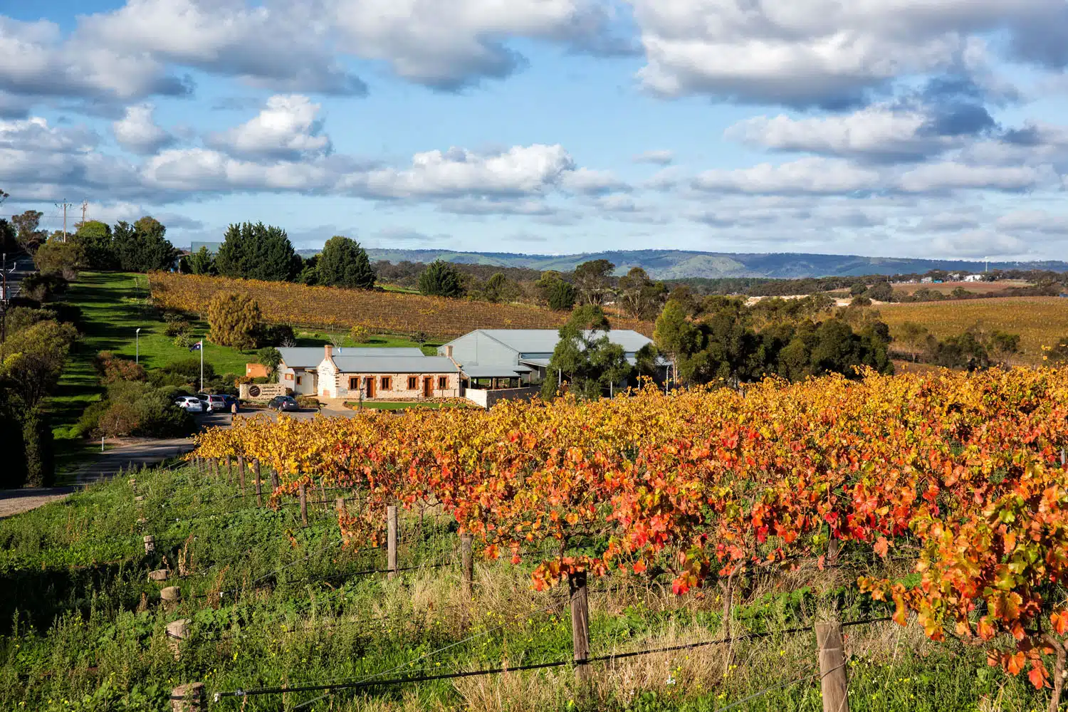 Oliver's Taranga | Wineries in McLaren Vale