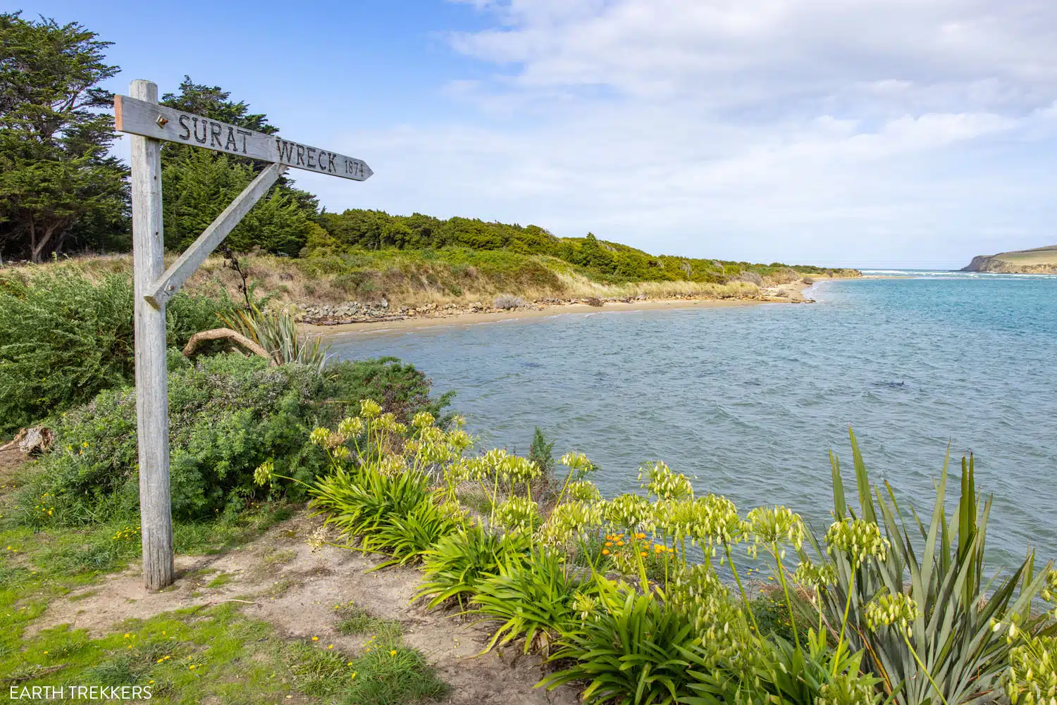 Surat Bay New Zealand